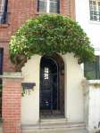 516 photo