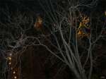 766 photo